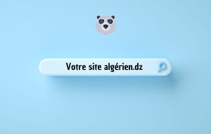 _Création de Site Web Entreprises Algériennes en 2025